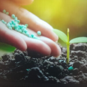 TEMO Decomposer Solution