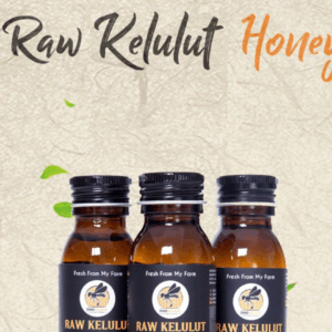 KELULUT HONEY  EFFICIENT EXTRACTOR  PORTABLE PUMP